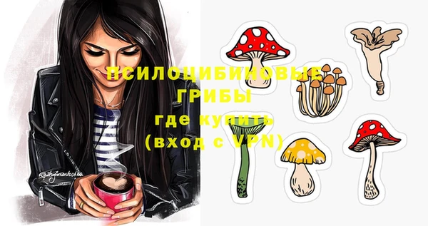 apvp Белокуриха